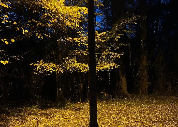 Bukowka Boszkowo-Letnisko