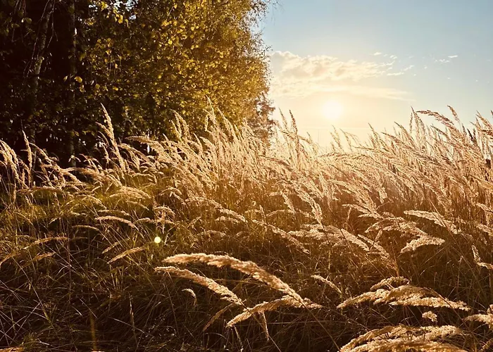Bukowka Boszkowo-Letnisko